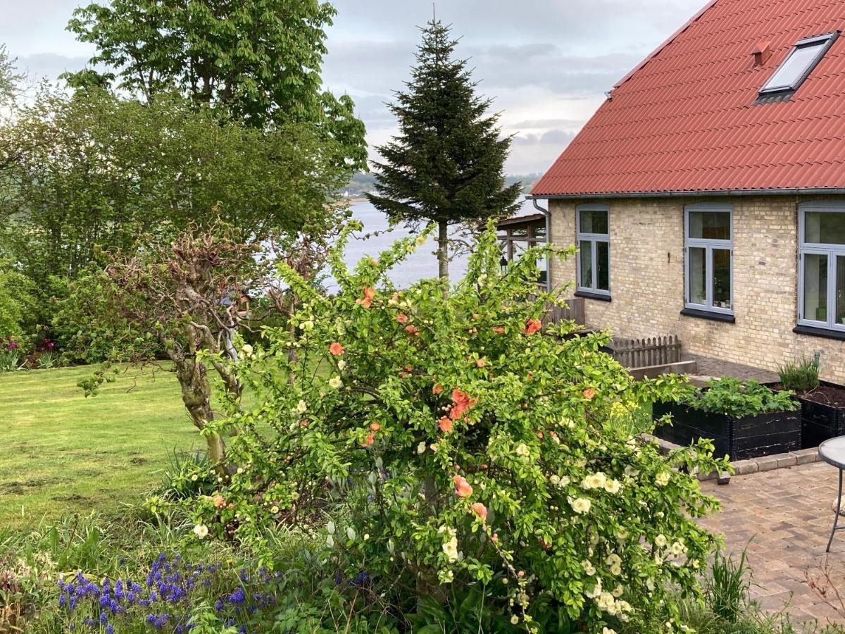 Bogebjerggard Bed & Breakfast Sønderborg Εξωτερικό φωτογραφία