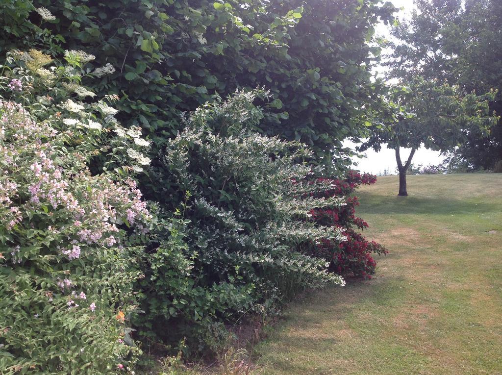 Bogebjerggard Bed & Breakfast Sønderborg Εξωτερικό φωτογραφία