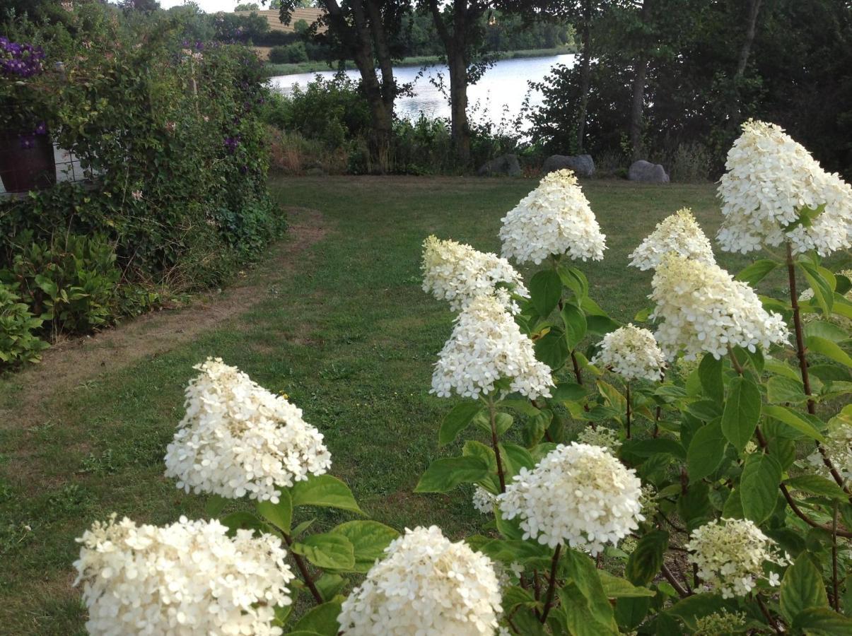 Bogebjerggard Bed & Breakfast Sønderborg Εξωτερικό φωτογραφία